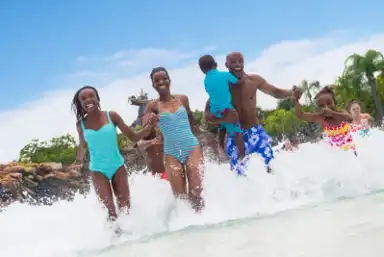 Things to do at Disney Typhoon Lagoon Water Park